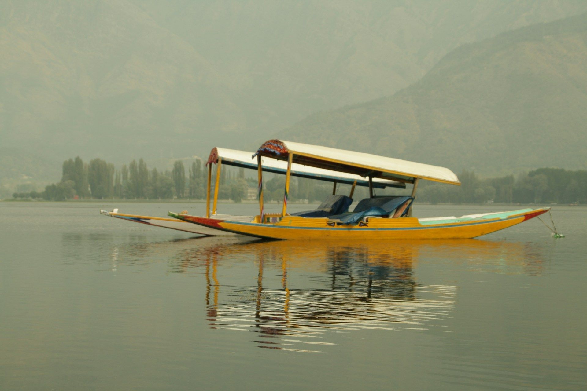Two shikaras moored on Dal Lake in morning haze.