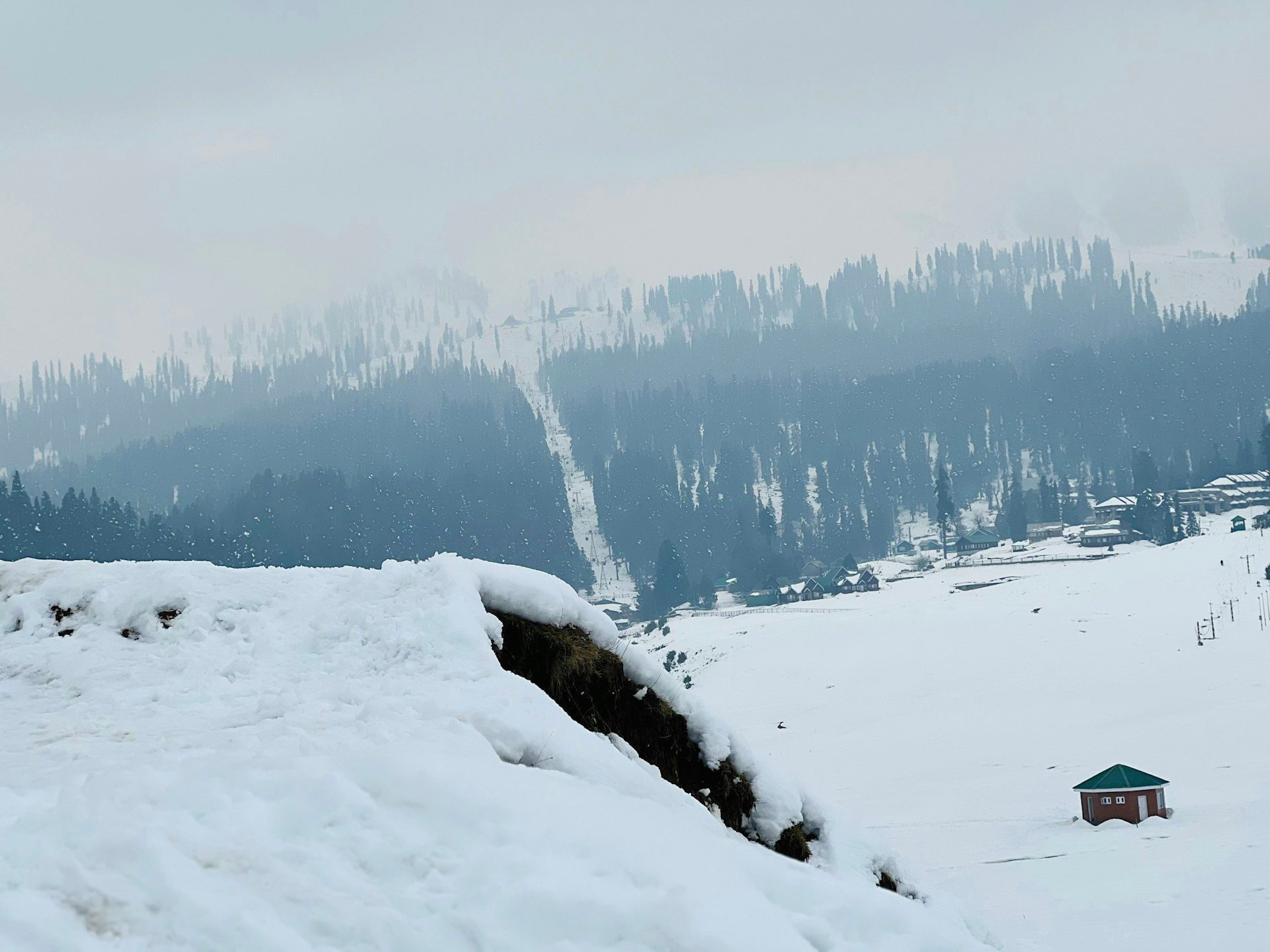 Snow-covered slopes and pine forest at Gulmarg.