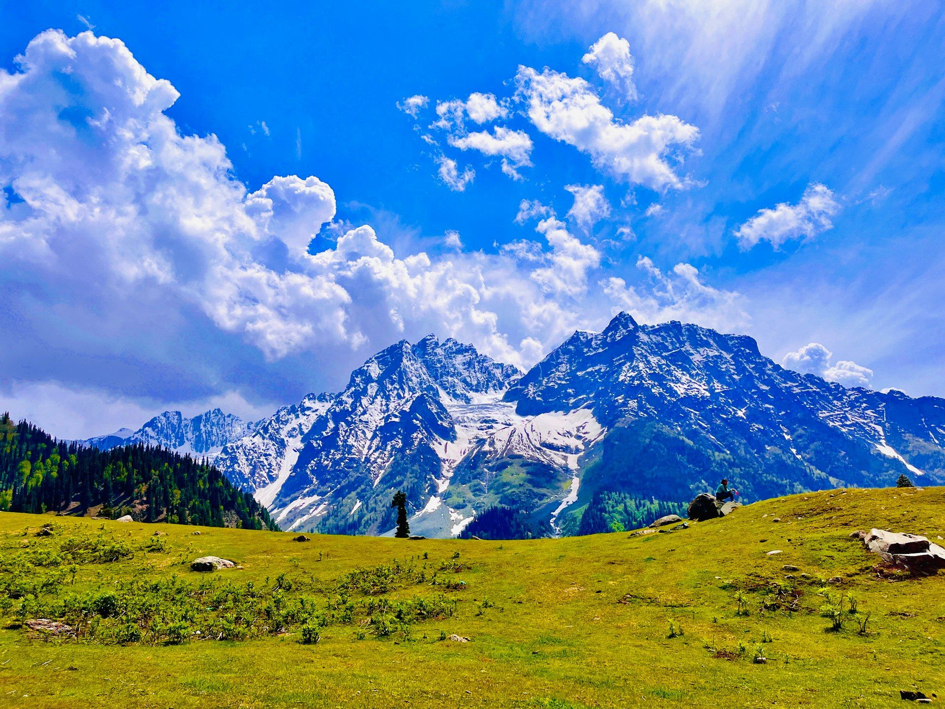 Green meadow below snow-capped peaks at Sonamarg.